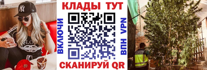 Магазин наркотиков Нестеровская Марихуана  Галлюциногенные грибы  ГАШИШ  СК 